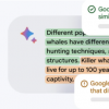 Google Bard 现在可以帮助青少年完成学业